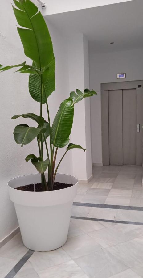 El 2 De Flamenco Atico 3ºb Apartment Кадис Екстериор снимка